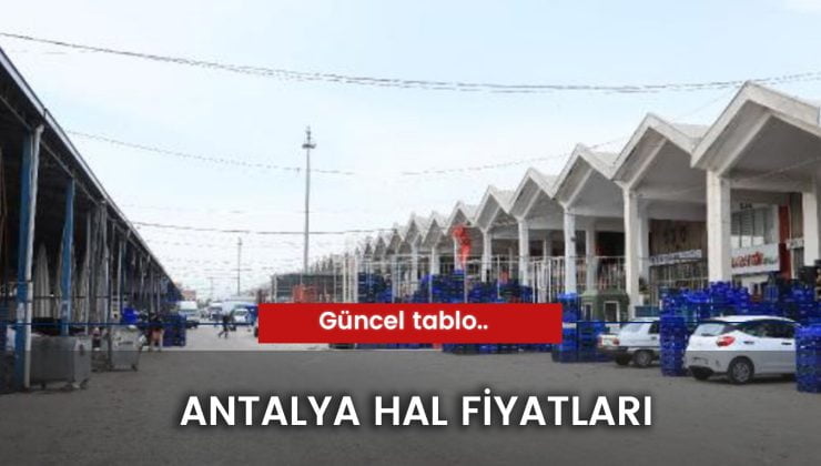 Antalya Hal Fiyatları 2024:  Bugünkü Güncel Liste…